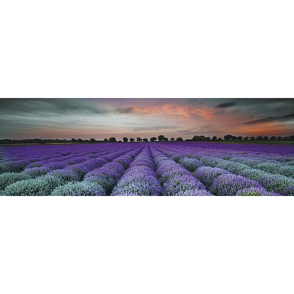 ceramika końskie milano lavender field glass dekor 25x75 płytki ceramika końskie do łazienki 25x75 o grubości 6 do 8 mm