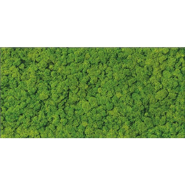 cersanit fresh moss glass dekor 29x59 płytki prostokątne do łazienki 30x60 zielone rektyfikowane