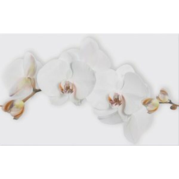 cersanit marisol white flower dekor 25x40 glazura cersanit prostokątne do kuchni z motywem natura o grubości od 8 do 10 mm