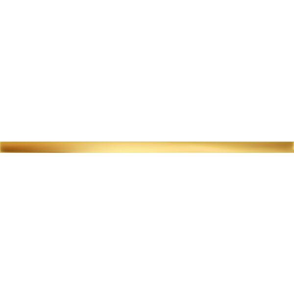 domino gold glossy listwa 2.3x59.8x1 płytki ceramiczne