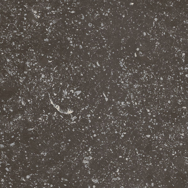 equipe coralstone black gres 20x20 (23569) 