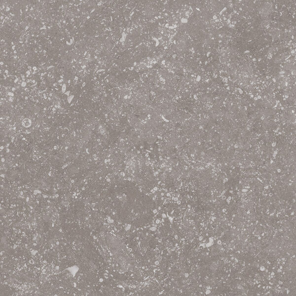 equipe coralstone grey gres 20x20 (23570) gres equipe ceramicas hiszpańskie do salonu 20x20 szare matowe