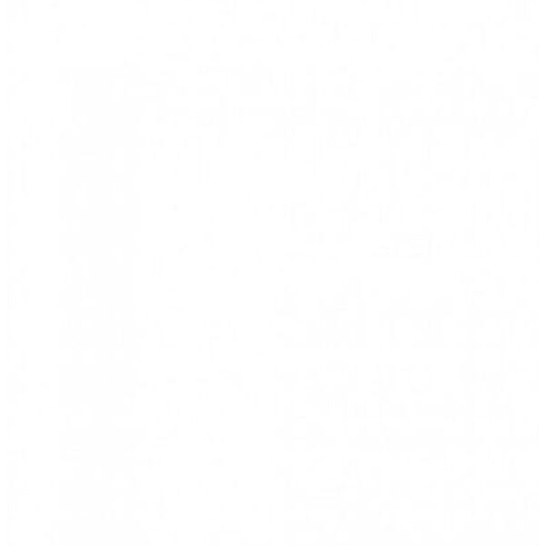 indie alaska white gres poler rektyfikowany 60x60 gres