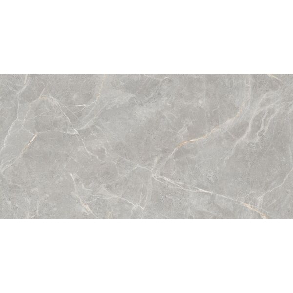 maxibox olivia grey polished 60x120 maxibox olivia