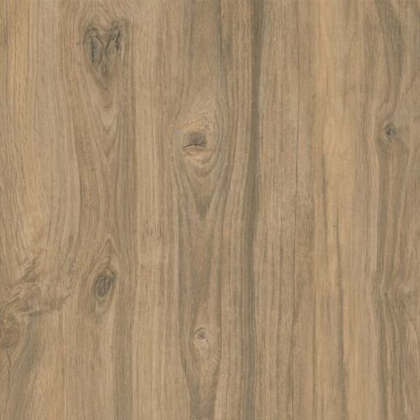 opoczno wood moments 2.0 light brown gres rektyfikowany 59.3x59.8 brązowe płytki tarasowe 2 cm
