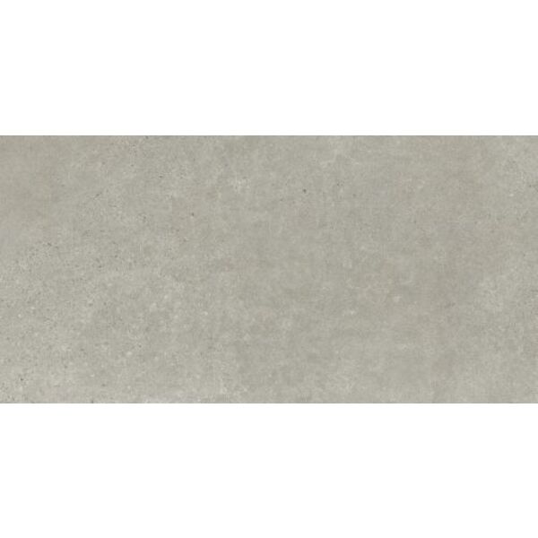 paradyż bergdust grey mat gres rektyfikowany 59.8x119.8 płytki paradyż (classica) prostokątne matowe mrozoodporne o grubości 6 do 8 mm