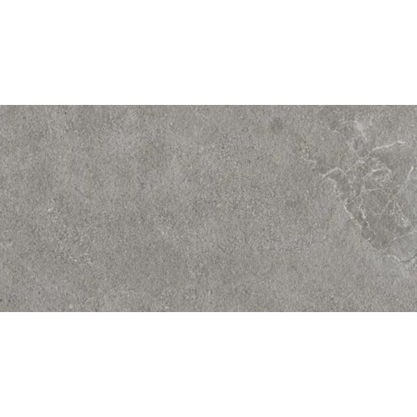 paradyż authority grey gres mat rektyfikowany 60x120 płytki paradyż (my way) imitujące beton do łazienki 120x60 szare o grubości od 8 do 10 mm