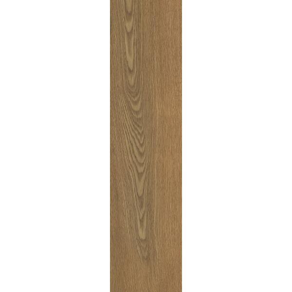 paradyż trueland 2.0 honey str płyta tarasowa 29.5x119.5 PŁYTKA DREWNOPODOBNA paradyż trueland 2.0 honey str płyta tarasowa 29.5x119.5 paradyż trueland