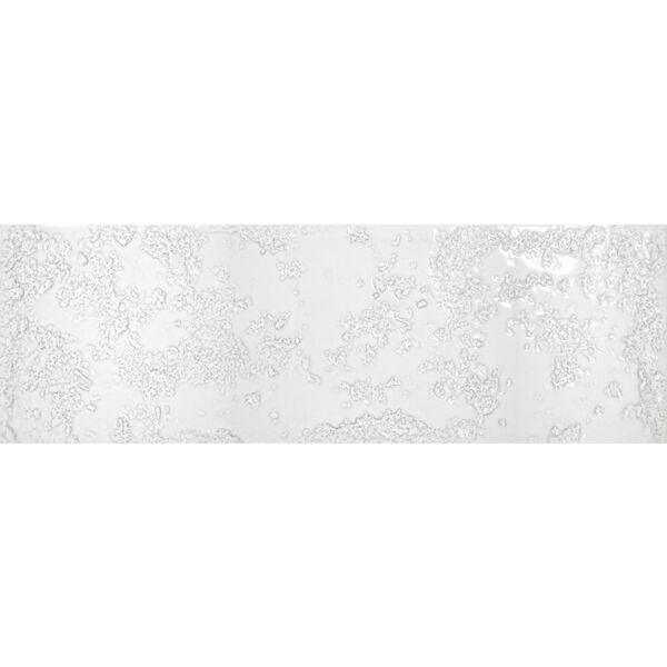 realonda kamado white glossy gres 15x45 gres hiszpańskie do łazienki cegiełki strukturalne nowości o grubości od 8 do 10 mm
