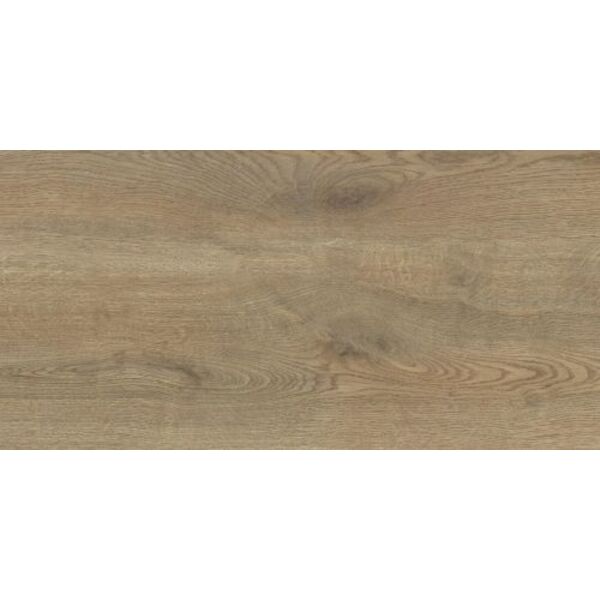 stargres pinea beige gres 30x60 płytki mrozoodporne