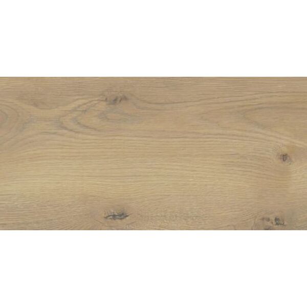 stargres taiga beige gres 30x60 płytki stargres do salonu 30x60 antypoślizgowe promocja o grubości 6 do 8 mm