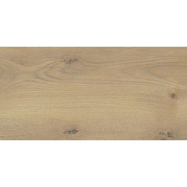 stargres taiga beige gres 30x60 płytki stargres