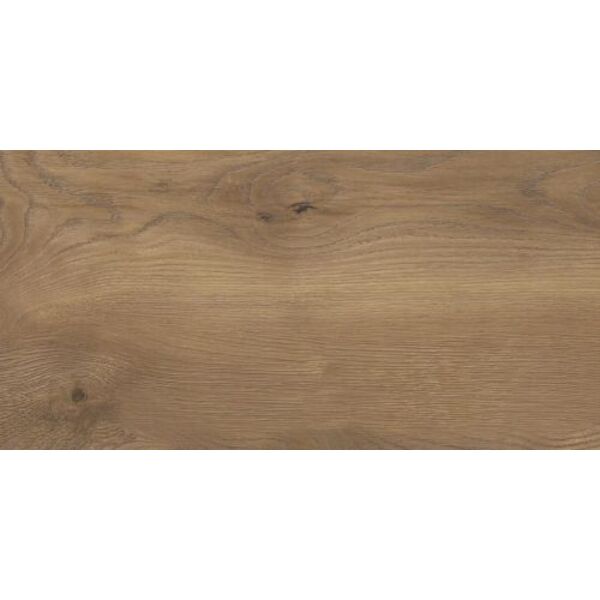 stargres taiga brown gres 30x60 płytki stargres