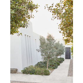 marazzi naturalia20