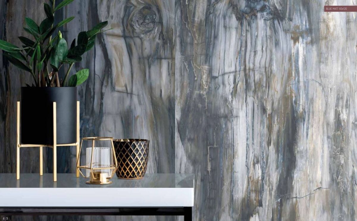 mariner petrified wood