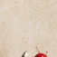 marazzi caracter