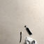 marazzi caracter