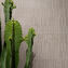 marazzi naturalia