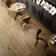 marazzi treverktrend