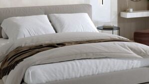 halcon montecarlo płytki